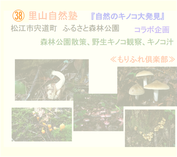 作品タイトル