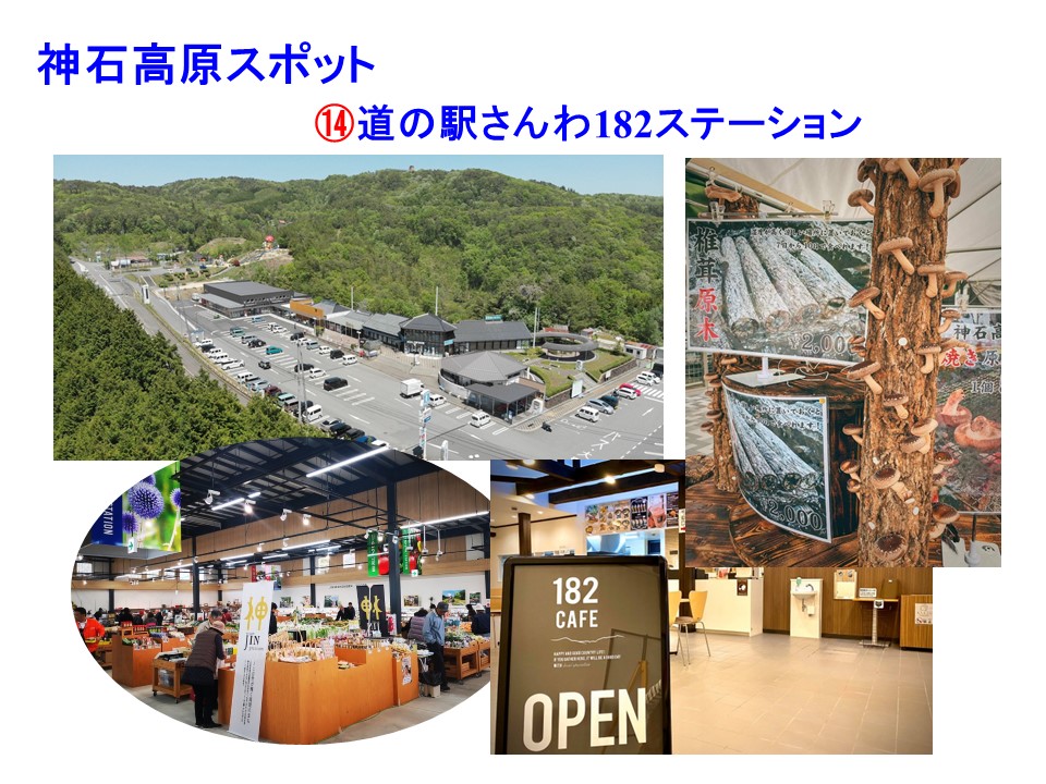 作品タイトル