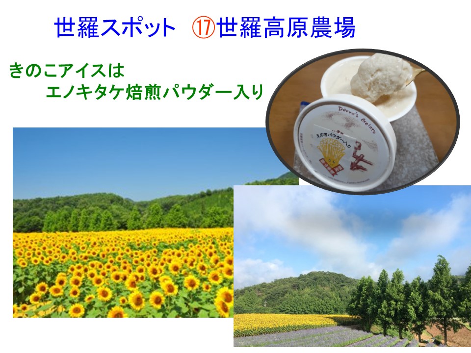 作品タイトル