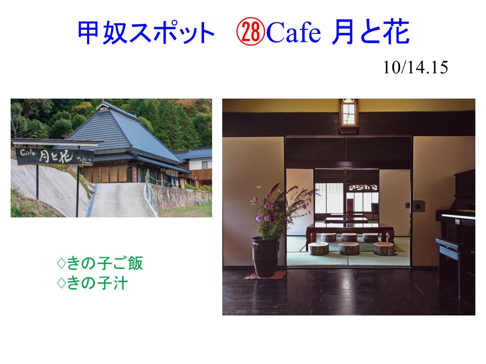 作品タイトル